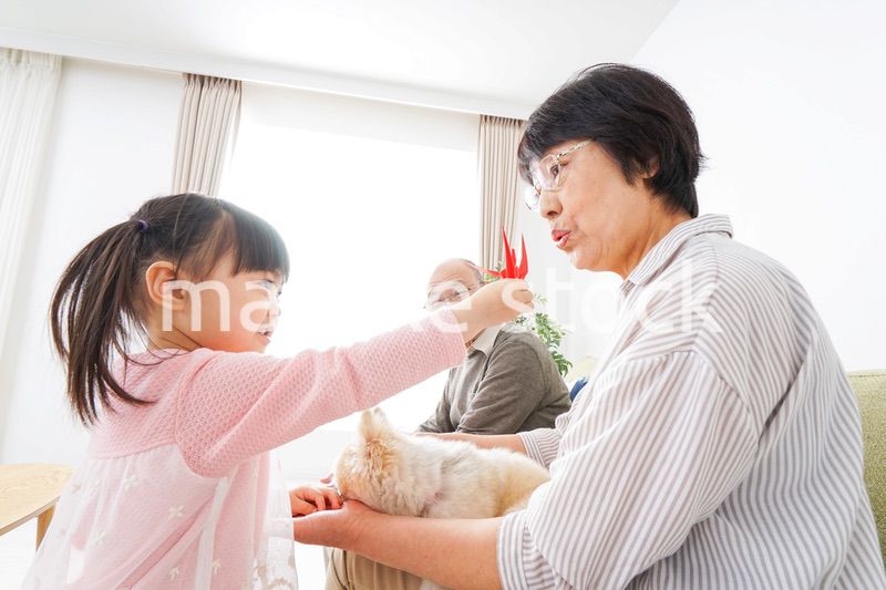 故郷に帰省する子供