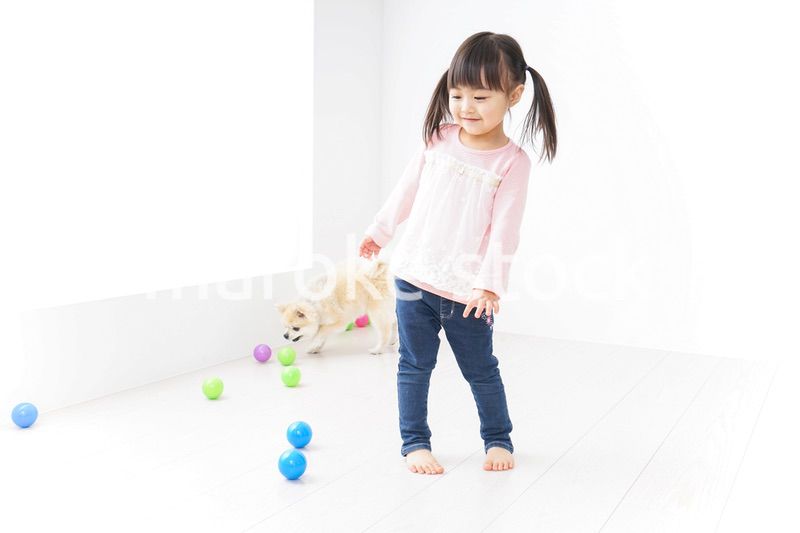 犬と一緒に遊ぶ子ども