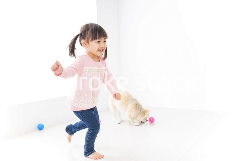 犬と一緒に遊ぶ子ども