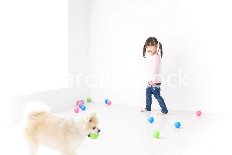 犬と一緒に遊ぶ子ども