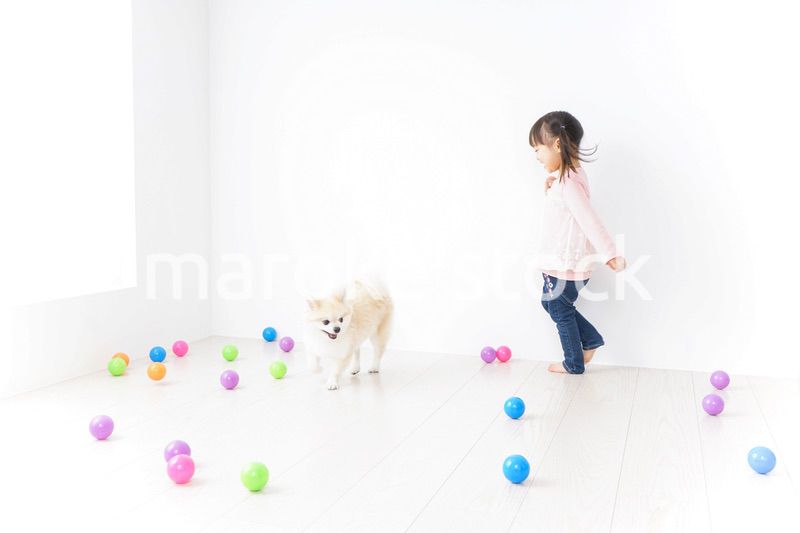 犬と一緒に遊ぶ子ども