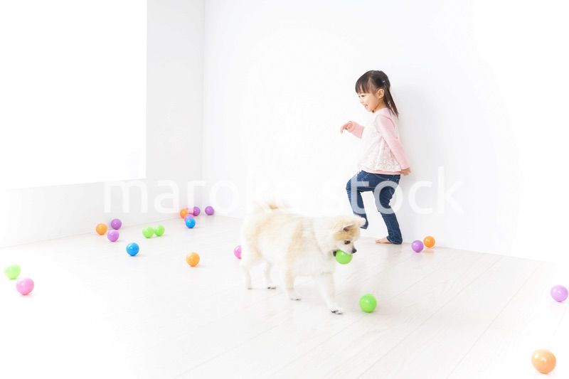 犬と一緒に遊ぶ子ども
