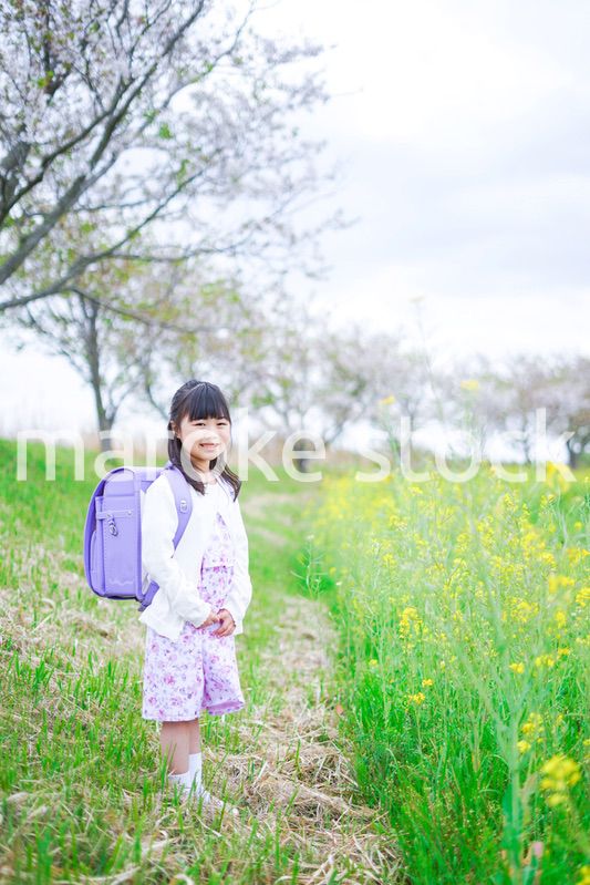 登校中にお花畑で遊ぶ小さな女の子
