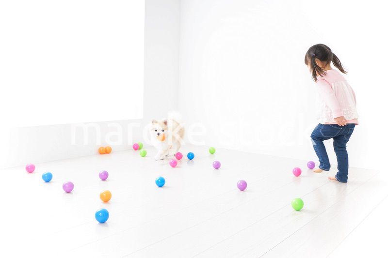 犬と一緒に遊ぶ子ども