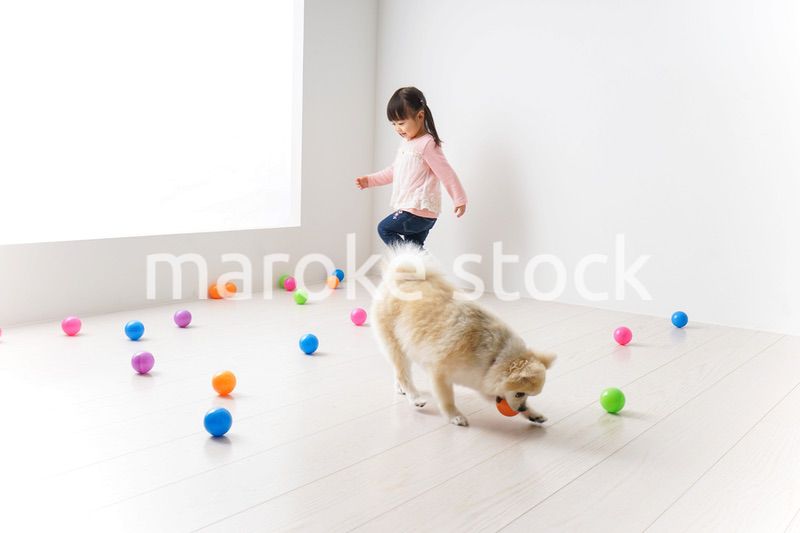犬と一緒に遊ぶ子ども