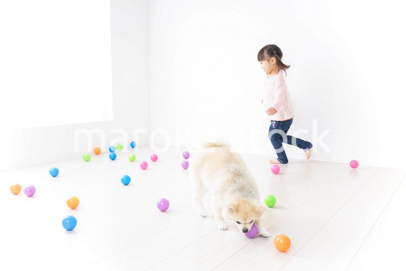 犬と一緒に遊ぶ子ども