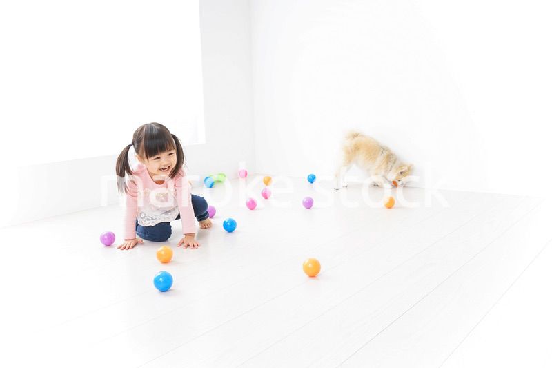 犬と一緒に遊ぶ子ども