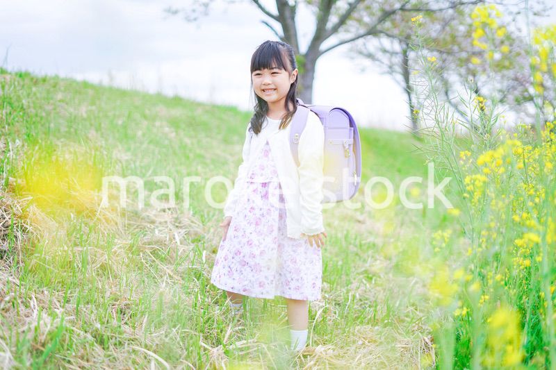 登校中にお花畑で遊ぶ小さな女の子