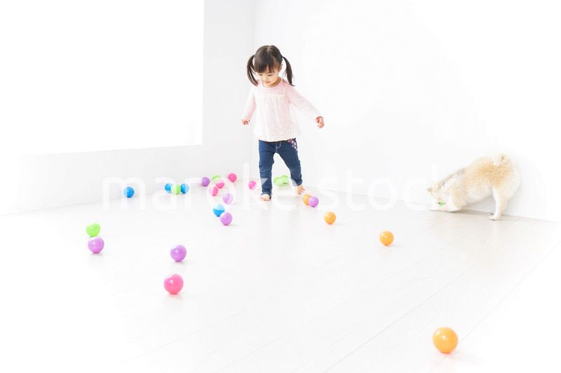 犬と一緒に遊ぶ子ども