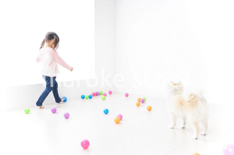 犬と一緒に遊ぶ子ども