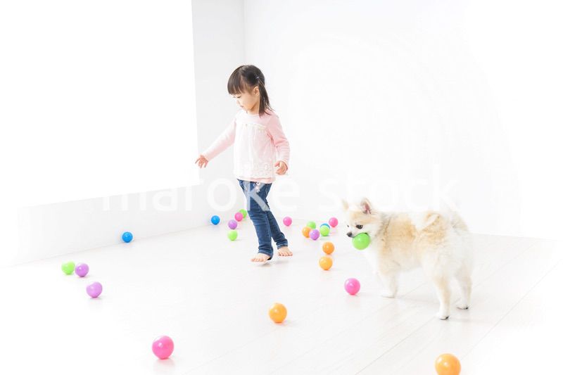 犬と一緒に遊ぶ子ども