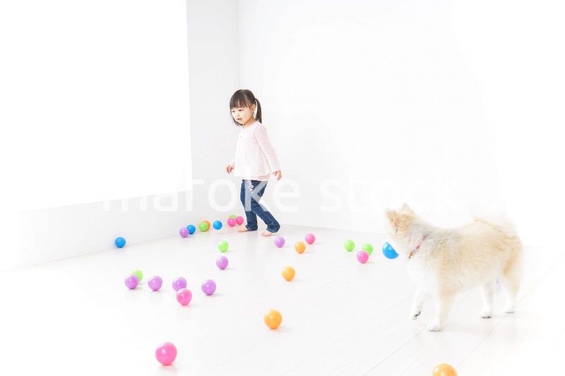 犬と一緒に遊ぶ子ども