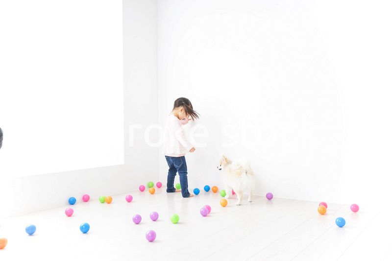 犬と一緒に遊ぶ子ども