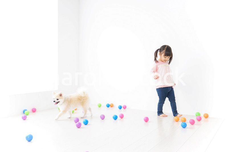 犬と一緒に遊ぶ子ども