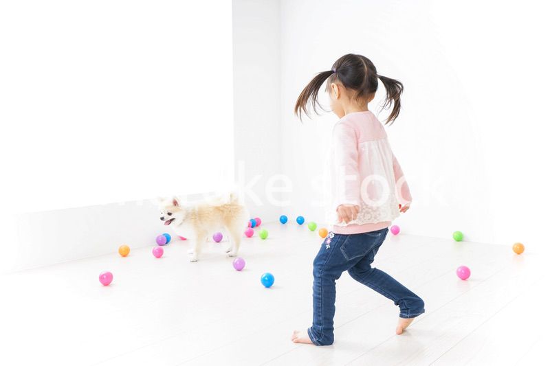 犬と一緒に遊ぶ子ども