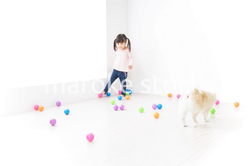犬と一緒に遊ぶ子ども