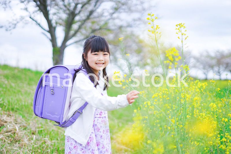 登校中にお花畑で遊ぶ小さな女の子
