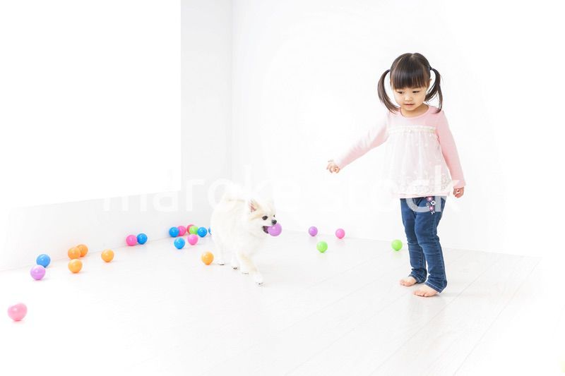 犬と一緒に遊ぶ子ども