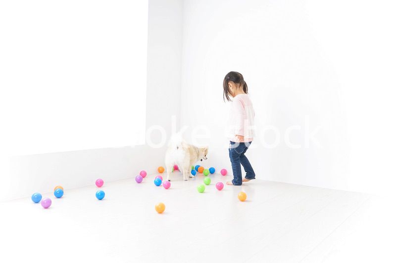 犬と一緒に遊ぶ子ども