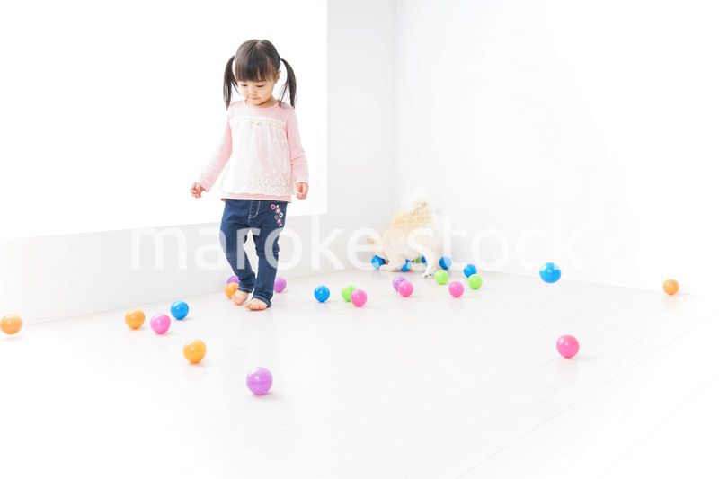 犬と一緒に遊ぶ子ども