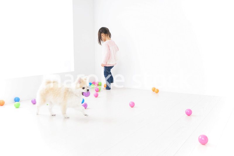 犬と一緒に遊ぶ子ども