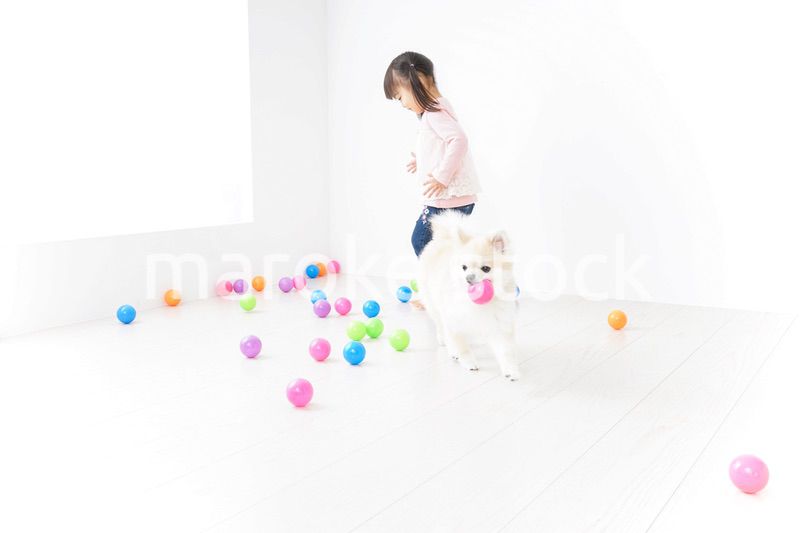 犬と一緒に遊ぶ子ども