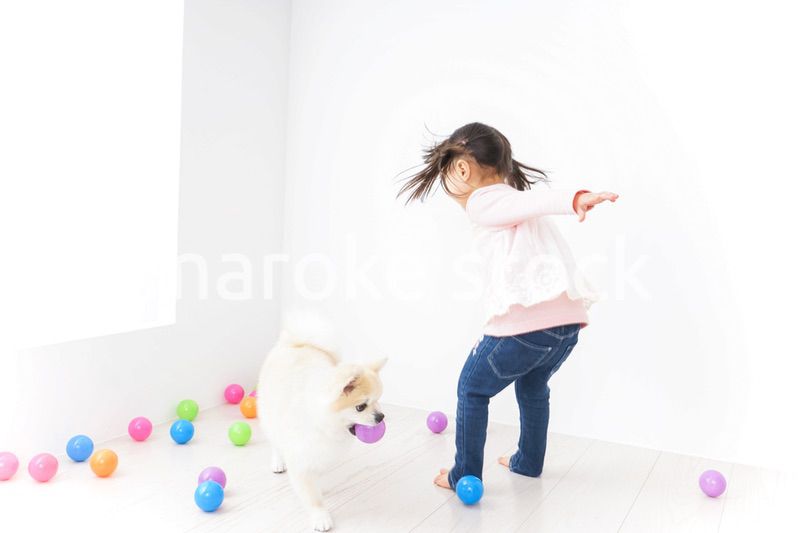 犬と一緒に遊ぶ子ども