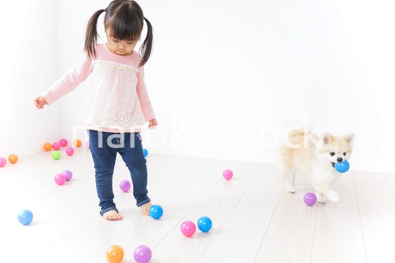 犬と一緒に遊ぶ子ども