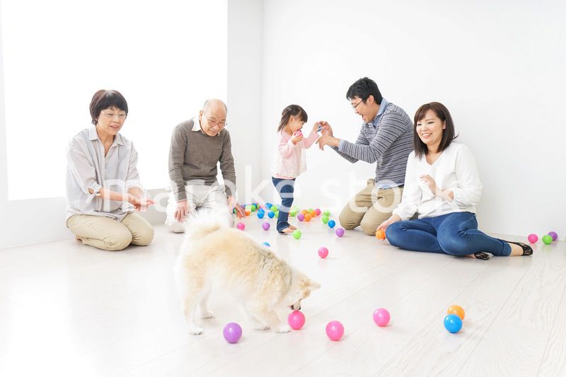 仲良しファミリー