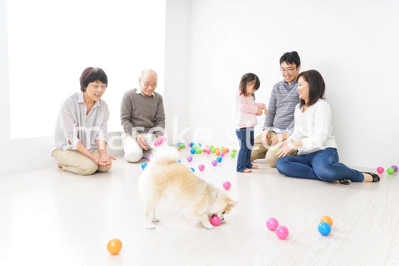 仲良しファミリー