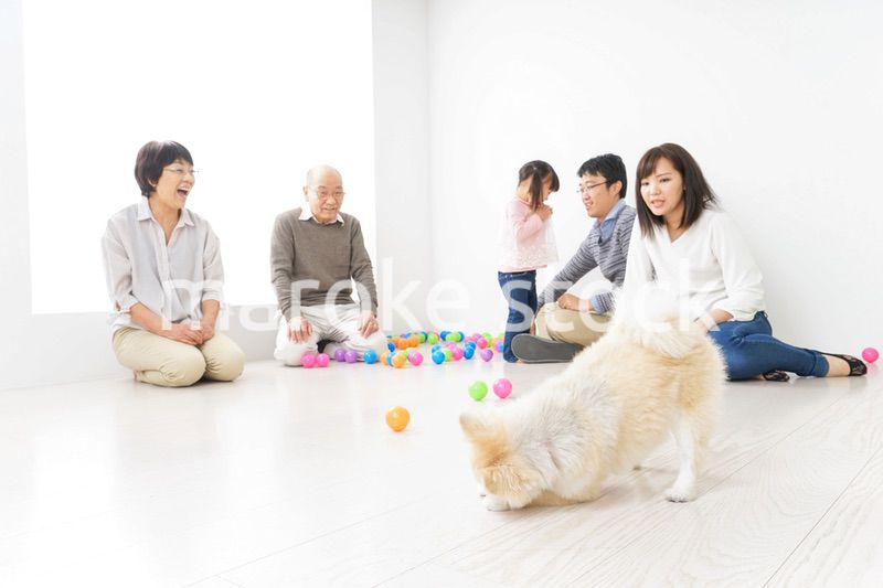 仲良しファミリー