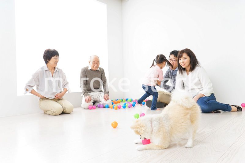 仲良しファミリー