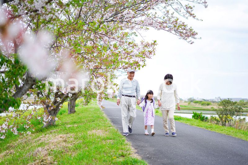 祖父母と元気に登校する小学生の女の子