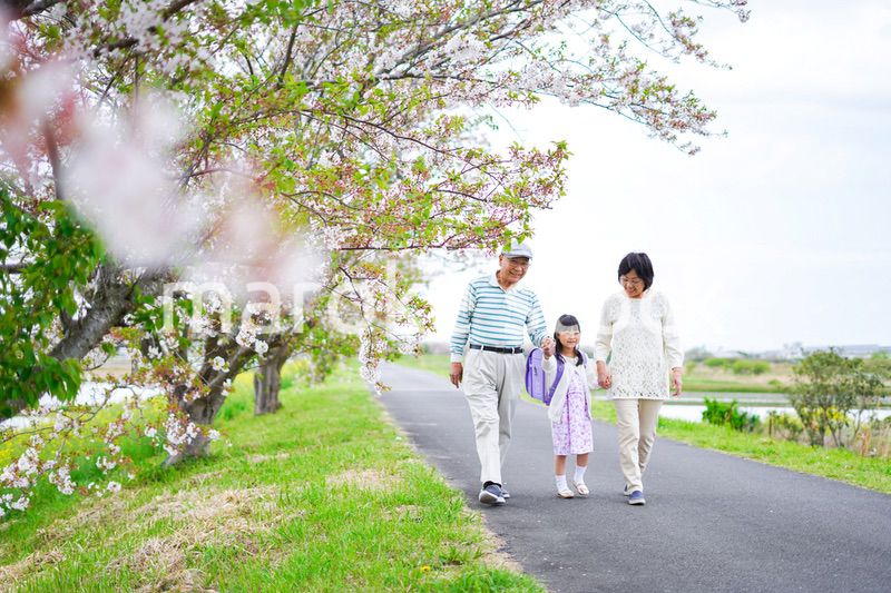 祖父母と元気に登校する小学生の女の子
