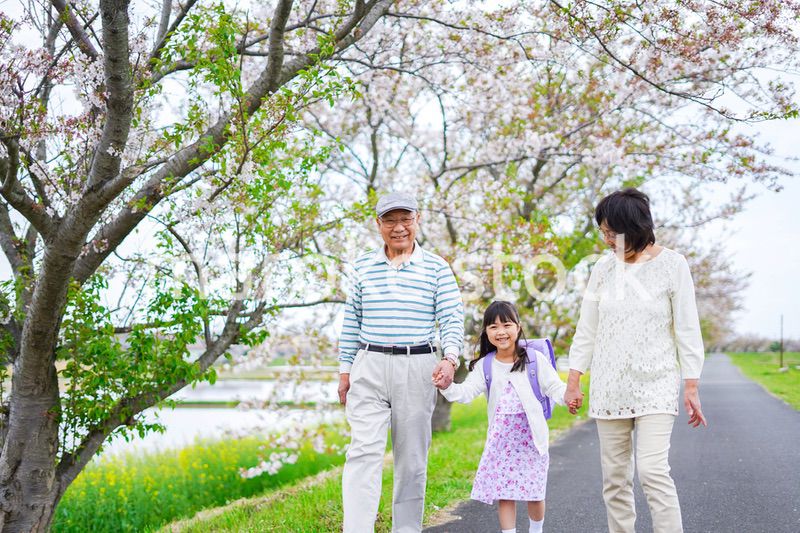 祖父母と元気に登校する小学生の女の子