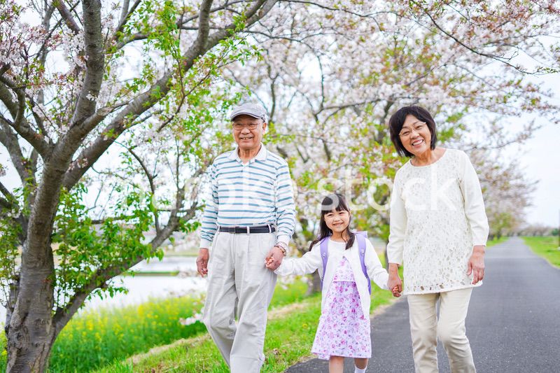 祖父母と元気に登校する小学生の女の子