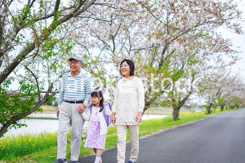 祖父母と元気に登校する小学生の女の子