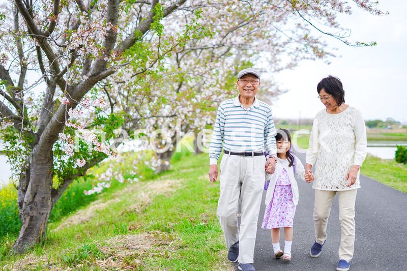 祖父母と元気に登校する小学生の女の子