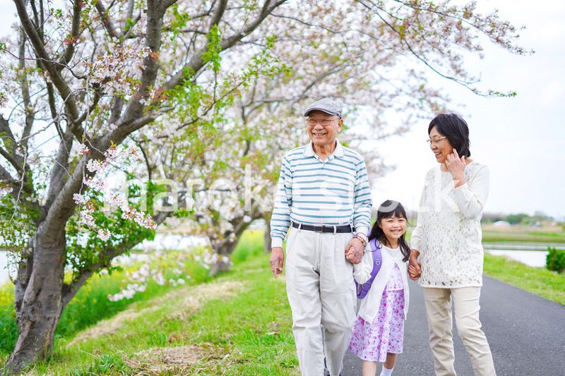 祖父母と元気に登校する小学生の女の子