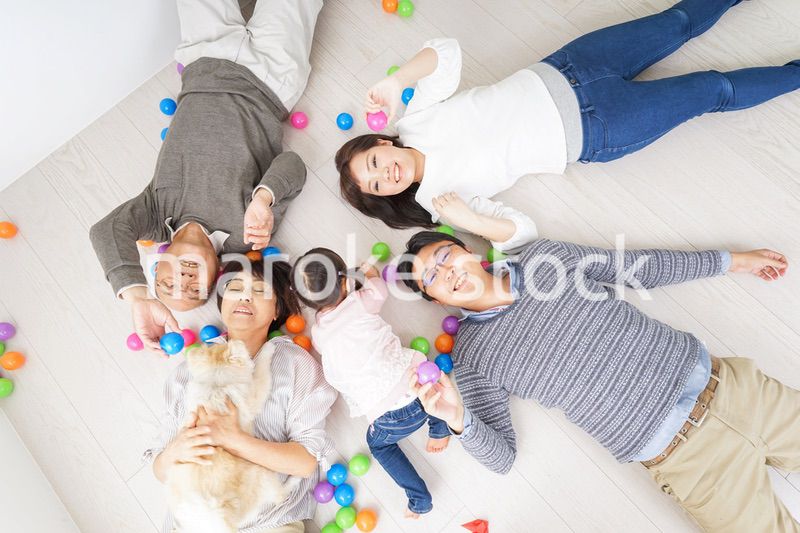 家族で遊ぶ