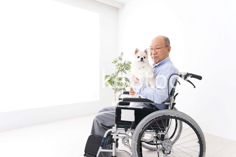 犬を飼う車椅子に乗った高齢の男性