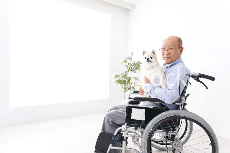 犬を飼う車椅子に乗った高齢の男性