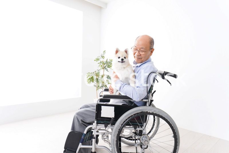 犬を飼う車椅子に乗った高齢の男性