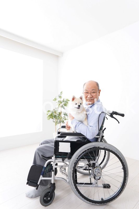 犬を飼う車椅子に乗った高齢の男性
