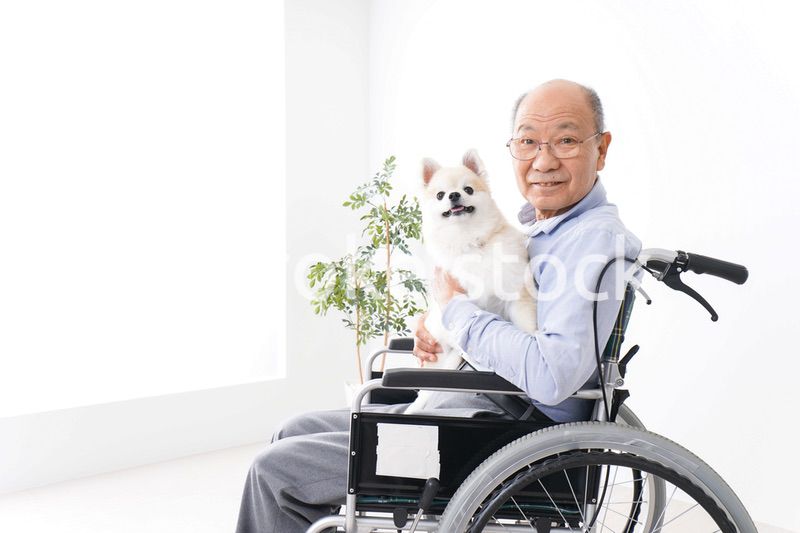犬を飼う車椅子に乗った高齢の男性