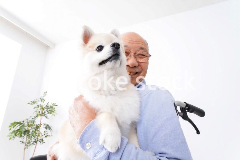 犬を飼う車椅子に乗った高齢の男性