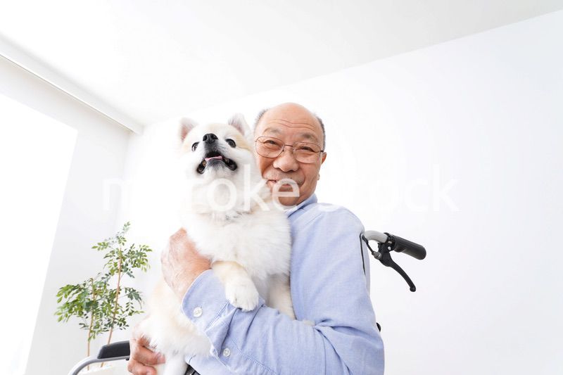 犬を飼う車椅子に乗った高齢の男性