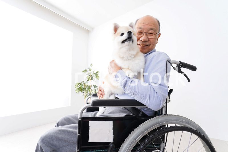 犬を飼う車椅子に乗った高齢の男性