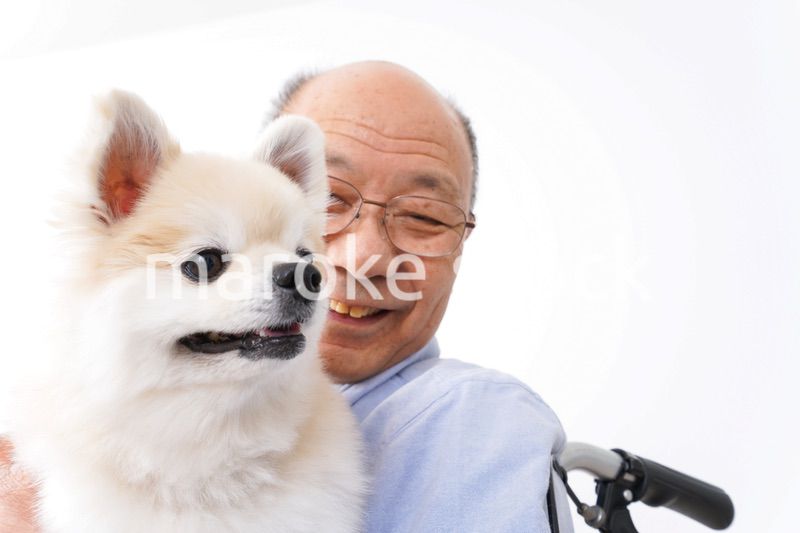 犬を飼う車椅子に乗った高齢の男性