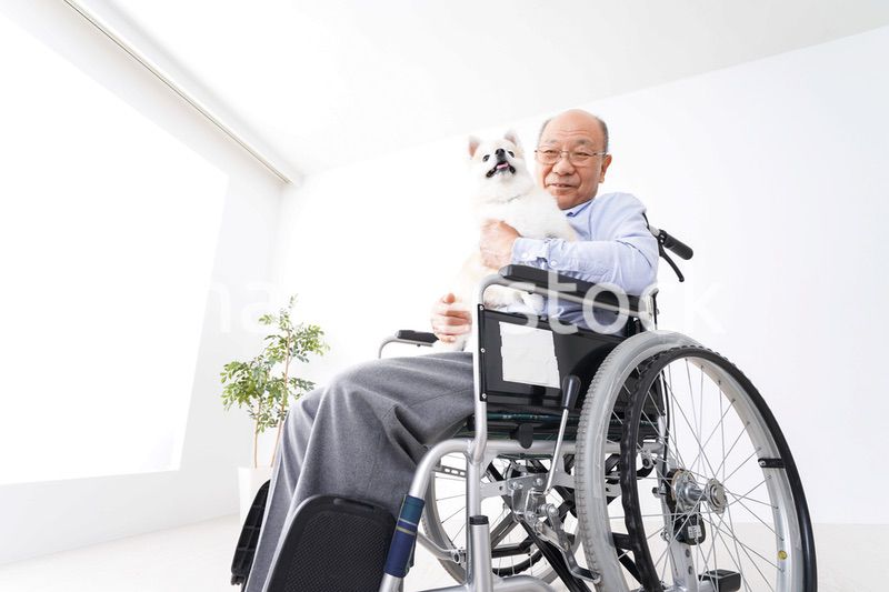 犬を飼う車椅子に乗った高齢の男性
